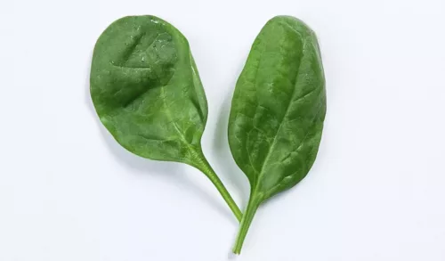 Spirulina Supreme για Vegan & Plant‑Based Διατροφή