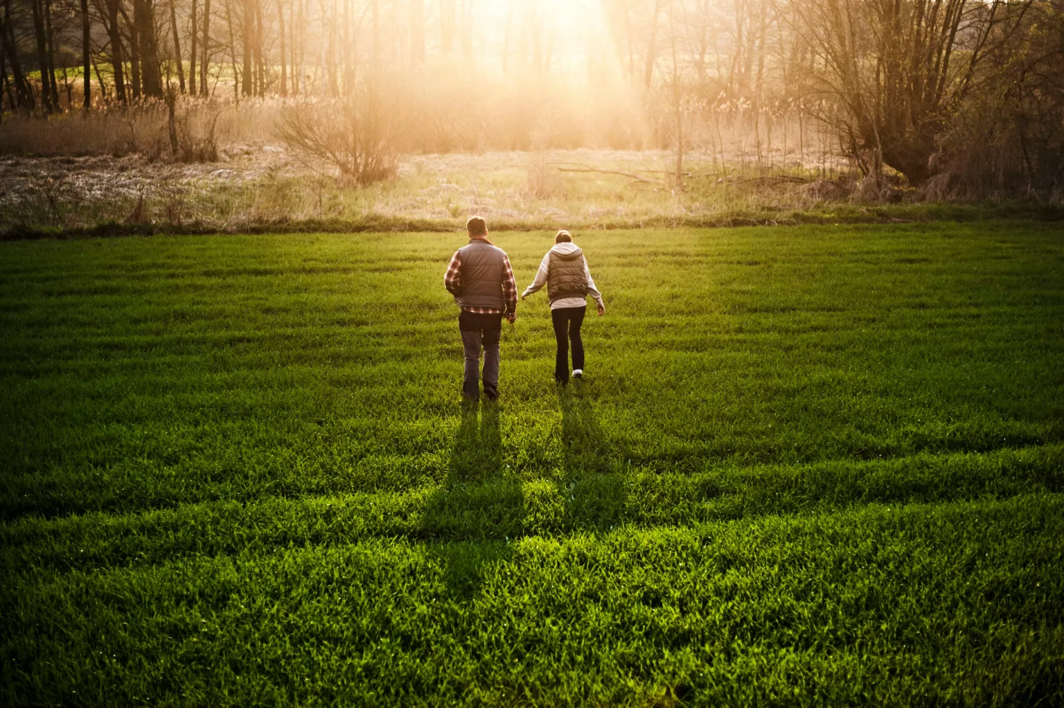 Σπιρουλίνα & Ενέργεια μετά τα 50 | Κόπωση & Ζωτικότητα – Spirulina Supreme